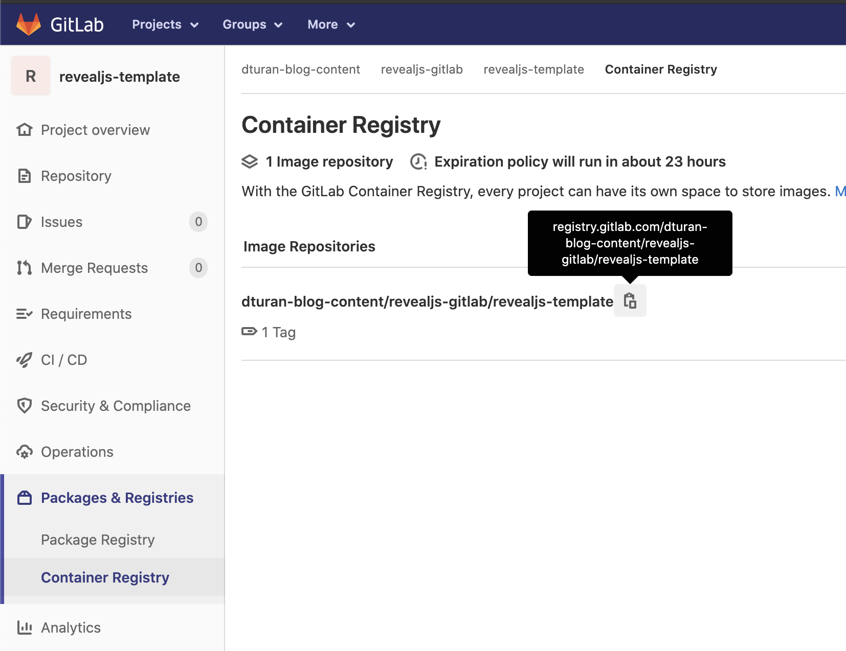 gitlab container registry